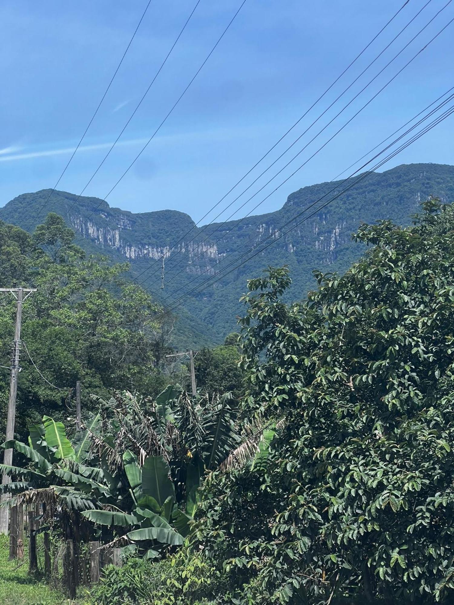 Vicenca Natural Refuge Lodge